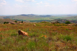 view in the Wichitas