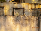The wall that surrounds our flats.jpg