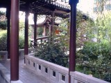 Chinese Garden (4).jpg