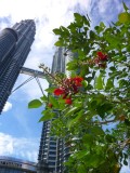 Petronas Towers Perspective (3).jpg