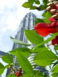 Petronas Towers Perspective (5).jpg