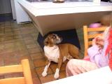 DSCF5092.JPG