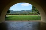 Robert Mondavi Vineyard