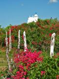 White Church