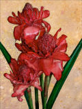 Red Torch Ginger 2