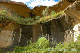 Some of the plants stain the sandstone with this distinctive dark streaking,