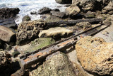 Japanese Dock Remains