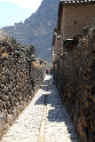 XIMG_0555.jpg