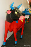 9380- painted cows