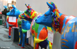 9554- painted cows