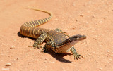 0728-sand-monitor