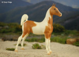 Breyer commemorative Saddlebred Weanling 1990