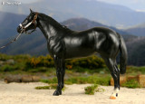 Breyer Lady Phase black special run Night Deck 1992