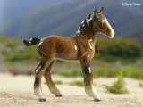 Beswick horse - shire foal - 951