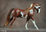 Breyer Little Bits Paddock Pal CM by Lynne Baum Von Mayr USA