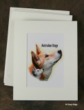 Dingo composite photo art print