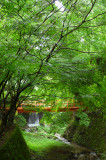 P1160769 - .JPG