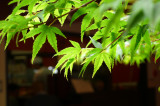 P1160857.JPG