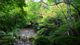 P1160908.JPG