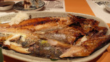 P1160287.JPG