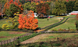 Autumn Near Millbrook