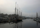 Foggy Camden Maine Harbor
