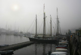 Docks Early Morning
