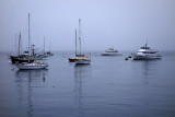 Boats off Fishermans Wharf