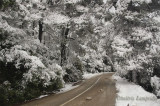 The  first  snow ...