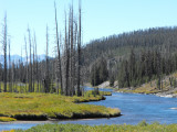 Yellowstone river