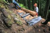 June 3, 2006 Building the retaining wall