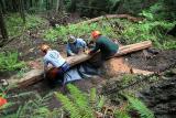 June 3, 2006 Placing a log
