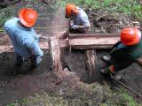 June 3, 2006 Cutting logs to fit