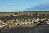 Iceland-481-2.jpg