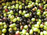 Olives