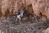 IMG_8636cPB.jpg
