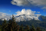 From My House, Looking East - Christmas Snow