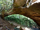 Sand Arch