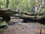 Bear Pen Double Bridge