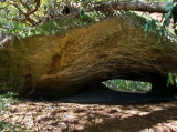Mulehead Arch