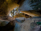 Zoo Arch #2