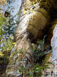 Zoo Arch #3