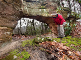 Timothy Arch