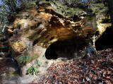 Surprise Arch