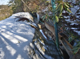 Dunken Wolfpen Arch