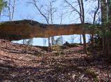 Log Rock Arch
