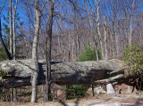 Log Rock Arch