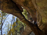 Red River Gorge Arches