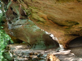 Rush Branch Arches