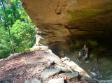 Table Top Arch